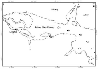 Association of Seawater Nanoparticle Size Distribution With Diversity of Marine Plankton